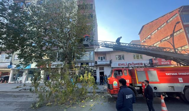 Tatvan Belediyesi’nden ağaç budama çalışmaları