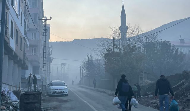 Tatvan’da yoğun sis etkili oldu