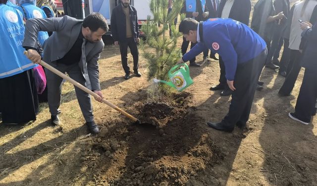 Bitlis’te din görevlileri fidan dikti