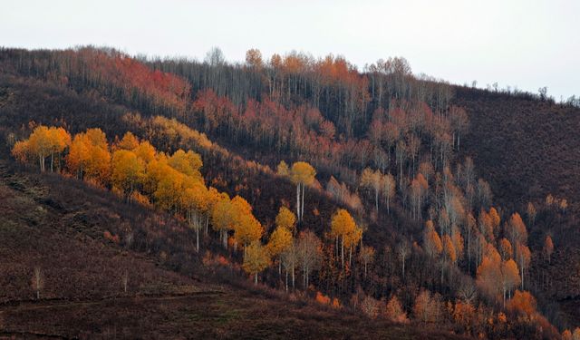 Mutki’de sonbaharın son renkleri kartpostallık manzaralar oluşturdu