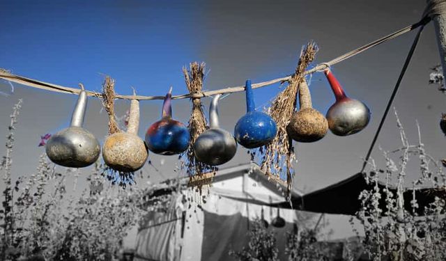 Süs kabaklarını el emeğiyle sanat eserine dönüştürüyor