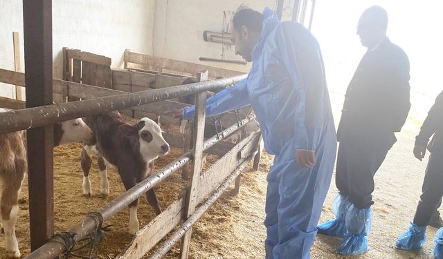 Adilcevaz’da 5 bin litre süt üreten tesise teknik ziyaret