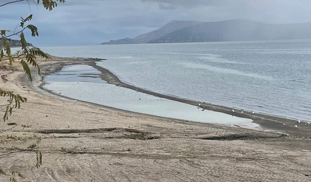 Van Gölü alarm veriyor: 500 metre geri çekildi!