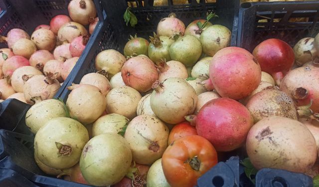 Bitlis’te meşhur zivzik narı tezgâhlarda yerini aldı