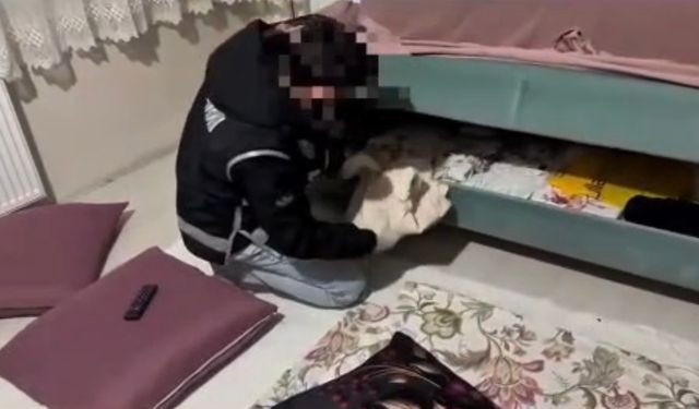 Ağrı’da dev kaçakçılık operasyonu, milyonluk telefon ve sigara yakalandı