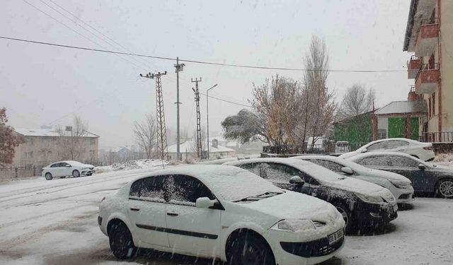 Başkale beyaz örtüyle kaplandı