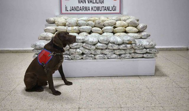 Başkale'de 60 kilo uyuşturucu yakalandı