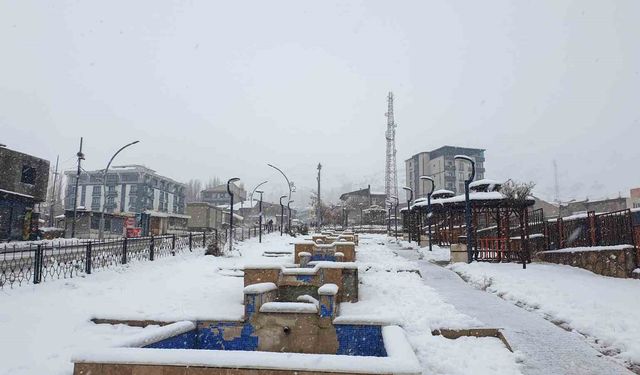 Başkale'de kar kalınlığı 20 santimetreyi aştı