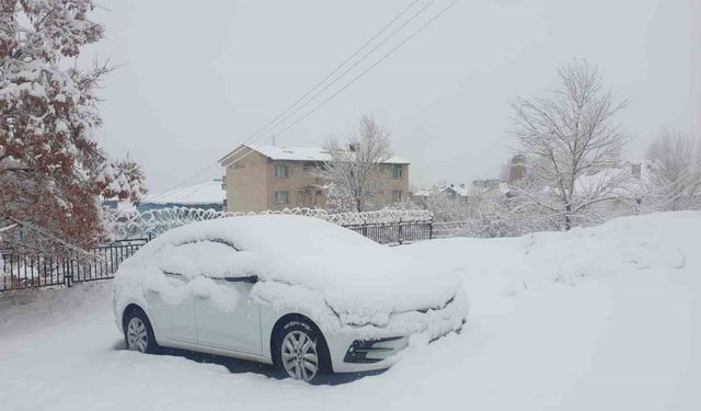 Başkale'de kar yağışı hayatı durma noktasına getirdi: Araçlar karla kaplandı