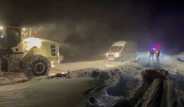 Bitlis'te ekipler hastalanan 61 yaşındaki kadın için seferber oldu