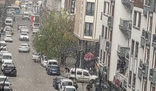 Dolu Van’ı beyaz örtüyle kapladı