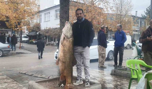 Elazığ'da 60 kiloluk turna balığı ağa takıldı