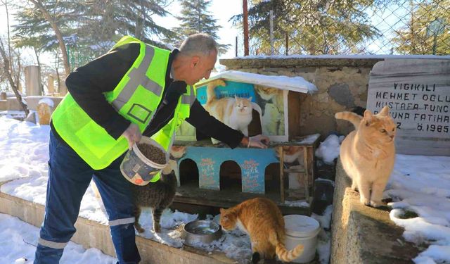 Elazığ’da yaban hayvanları unutulmadı