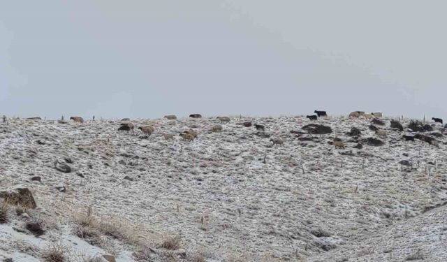 Erek Dağı ve çevresi karla kaplandı