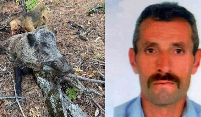 Erzincan'da domuzun saldırısına uğrayan avcı hayatını kaybetti