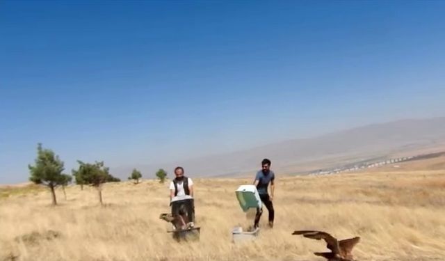 Kızıl Şahinler özgürlüğüne kavuştu