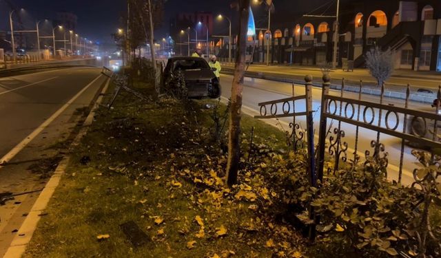 Köpeğe çarpmamak için manevra yapan sürücü kaza yaparak yaralandı