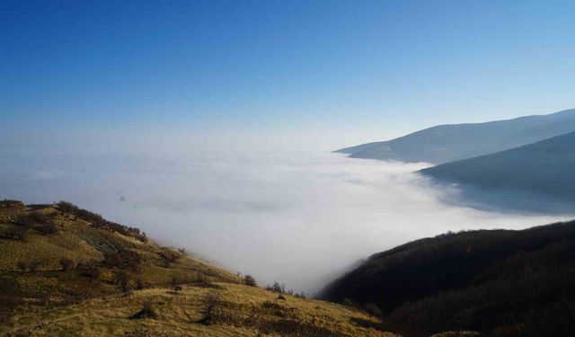 Muş'ta sis ovayı kapladı: Görsel şölen oluşturdu