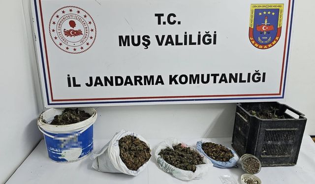 Muş'ta uyuşturucu operasyonu düzenlendi