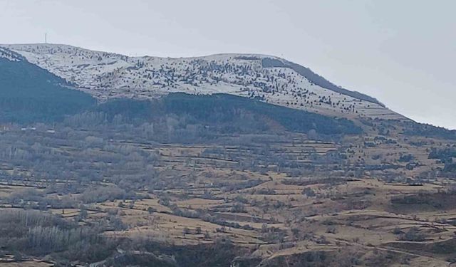 Posof kar yağışı sonrası beyaz örtüyle kaplandı