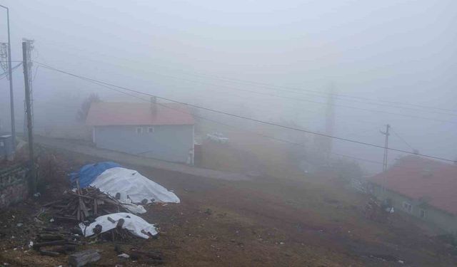Posof'ta yoğun sis etkisini sürdürüyor