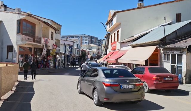 Pülümür'deki 4.2 büyüklüğünde deprem Tercan'da da paniğe neden oldu
