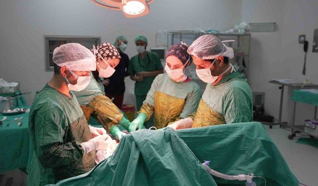 Rekor büyüklükteki dev tümör cerrahi müdahaleyle alındı