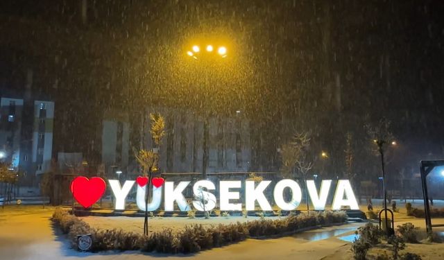 Yüksekova’da kar yağışı etkisini artırdı