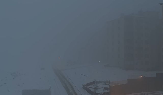Yüksekova'da yoğun sis hayatı durma noktasına getirdi