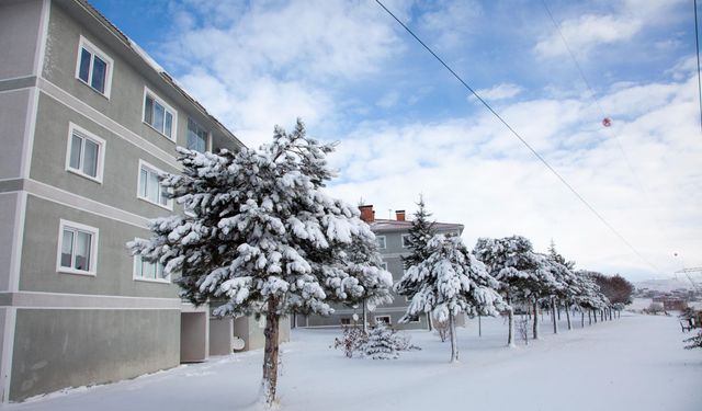Ahlat’ta çam ağaçları kartpostallık manzara sundu