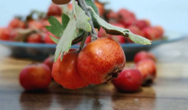 Bitlis’te son alıçlar dalında kaldı