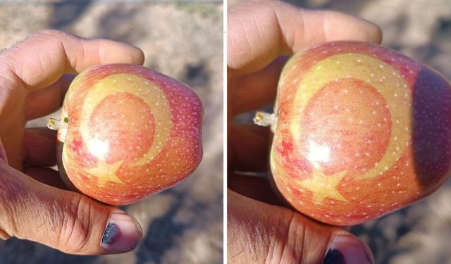 Ahlat’ta Elmalara Ay-Yıldız Damgası