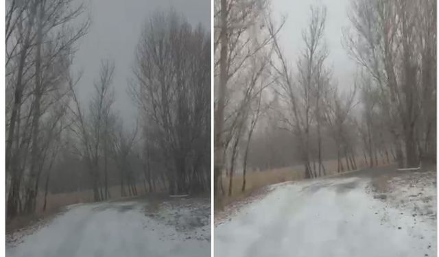 Ahlat’ta 2 Aralık Sürprizi: Develik Köyündeki Görüntü Şaşırttı