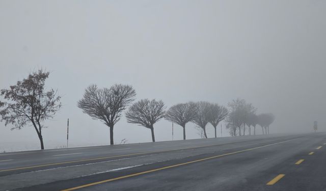 Bitlis’te sis etkili oluyor