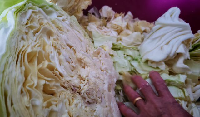 Bitlis’te turşu yapmanın son günleri yaklaştı