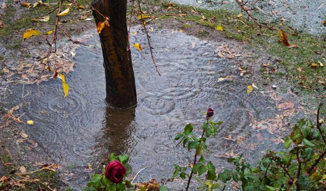 Ahlat'ta Şiddetli Yağmur Etkili Oluyor