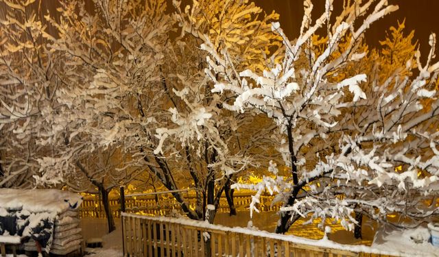 Ahlat’ta köyler beyaza büründü