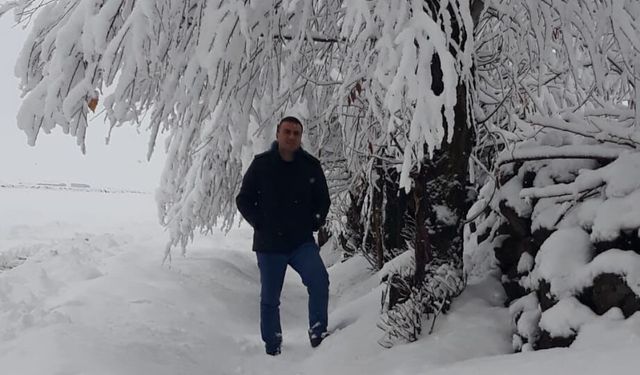 Bitlis’te Kırağı Kartpostallık Manzaralar Oluşturdu