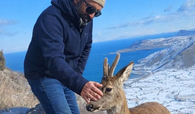 Tatvan’da duygulandıran ceylan buluşması