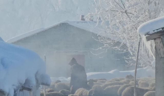Güroymak’ta ahırlardaki hayvanlar unutulmadı