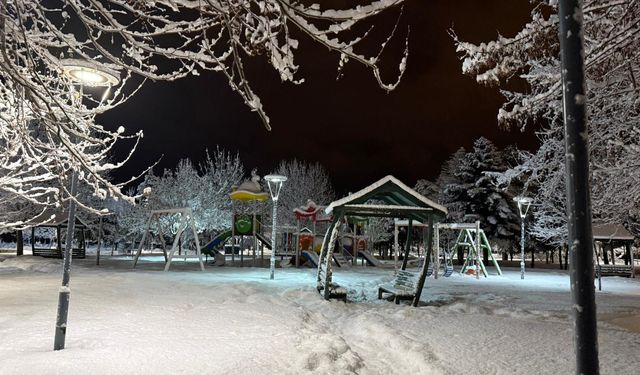 Tatvan sahili karla kaplı ağaçlarıyla mest ediyor