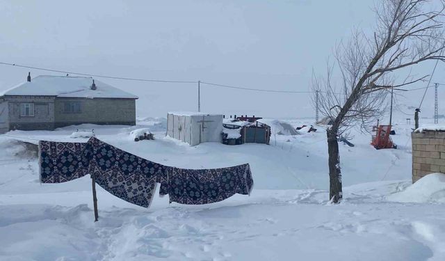 Ağrı'da köyler kara gömüldü