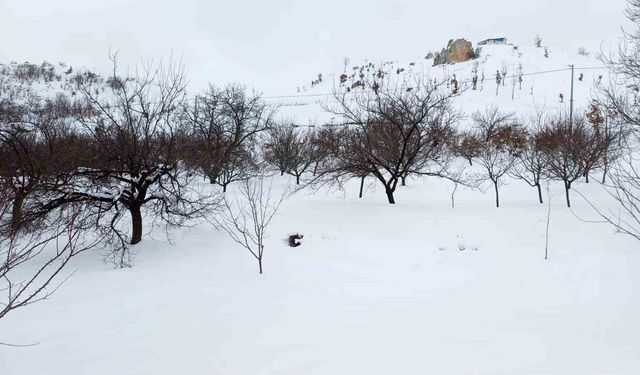 Akçadağ’da kar alarmı: Yer yer 1 metreyi aştı