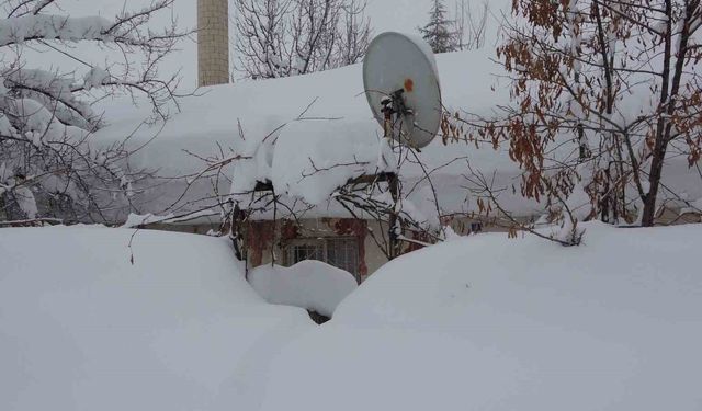 Bitlis’te kar esareti: Evler kara gömüldü, ulaşım durma noktasında