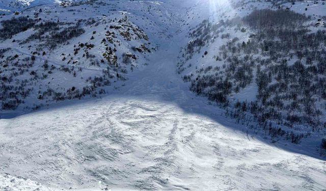 Çığ düşmeleri nedeniyle Van-Çatak yolu 4 gündür ulaşıma kapalı