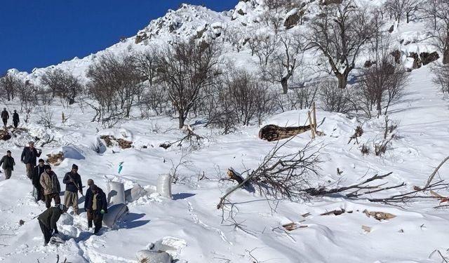 Çığ felaketi ahırları vurdu: Küçükbaş hayvanlar telef oldu