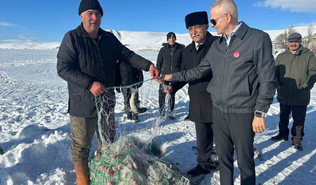 Çıldır'da balıkçılar ağ çekti, renkli görüntüler oluştu