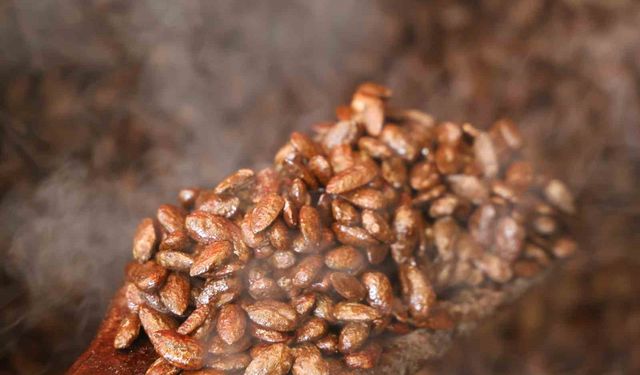 Geleneksel lezzete modern dokunuş: Türk kahveli badem şekeri