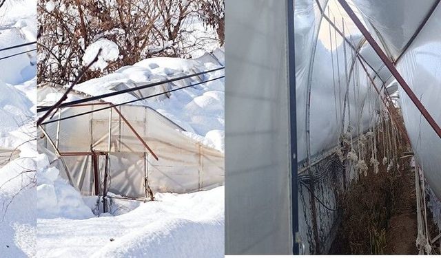 Hakkari’de etkili olan kar yağışı seralarda hasara yol açtı