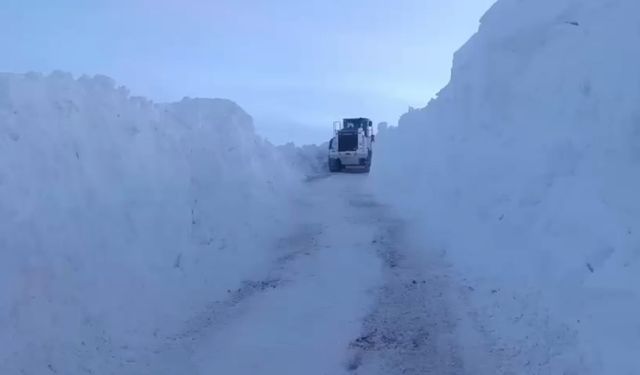 Kar esareti Yüksekova'da zorlu mücadeleye dönüştü